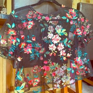 Embroidered Black Sheer Crop Top